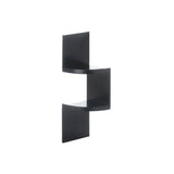2-Tier Corner Shelf